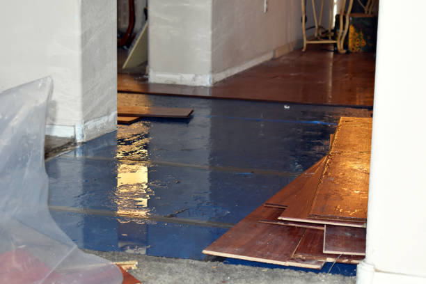 Professional Sewage Cleanup technician working in Union City, MI